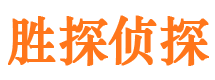 东乡侦探公司